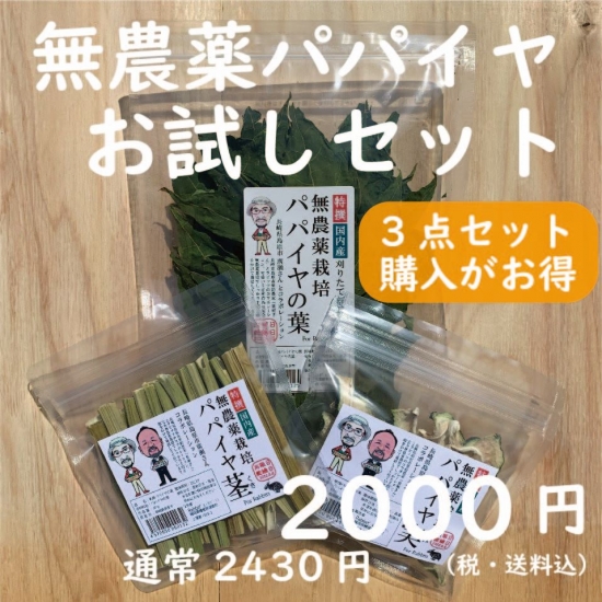 無農薬栽培パパイヤ３点セット│牧草直送農家のラビッツ